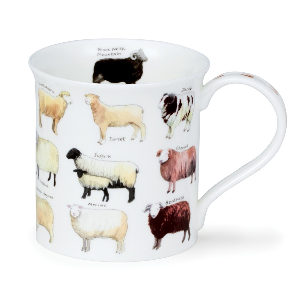 MUG BUTE ANIMAL BREEDS - MOUTON