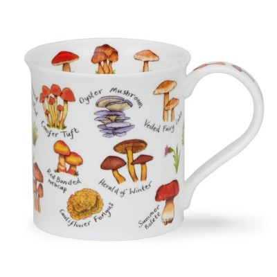 MUG BUTE MUSHROOMS & TOADSTOOLS PLEUROTTE