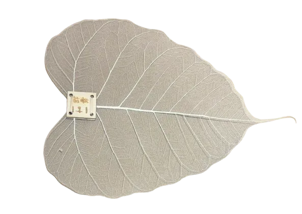 FILTRE A THÉ (feuille de bodhi)