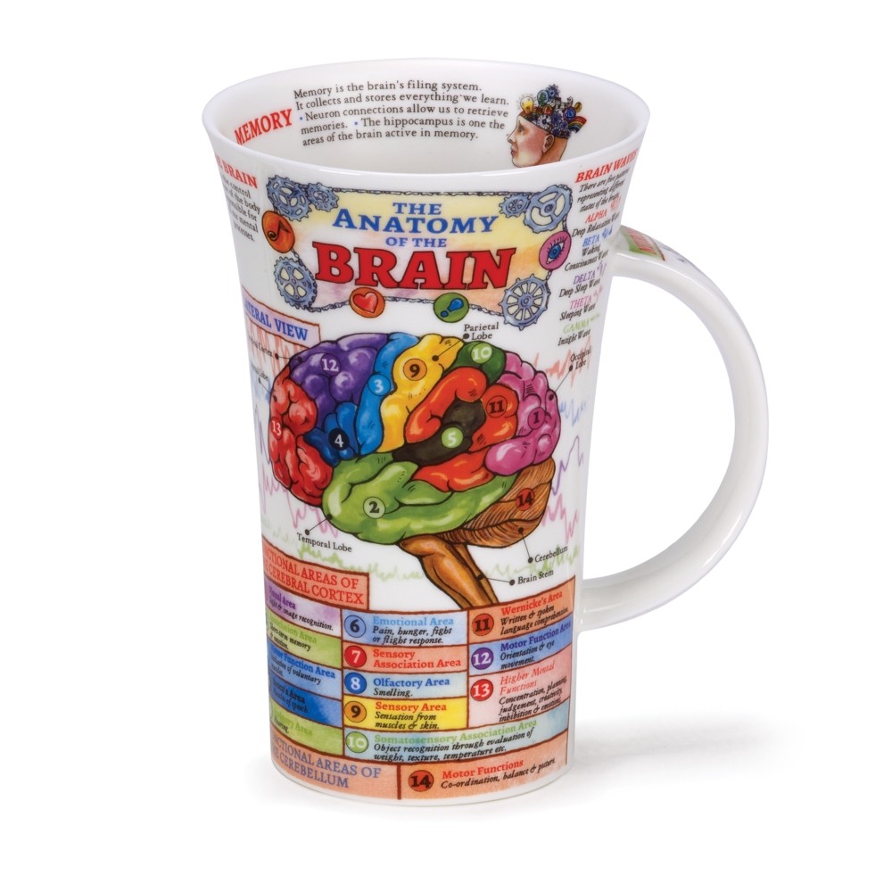 [DN-GLE-BRS] MUG GLENCOE THE BRAIN