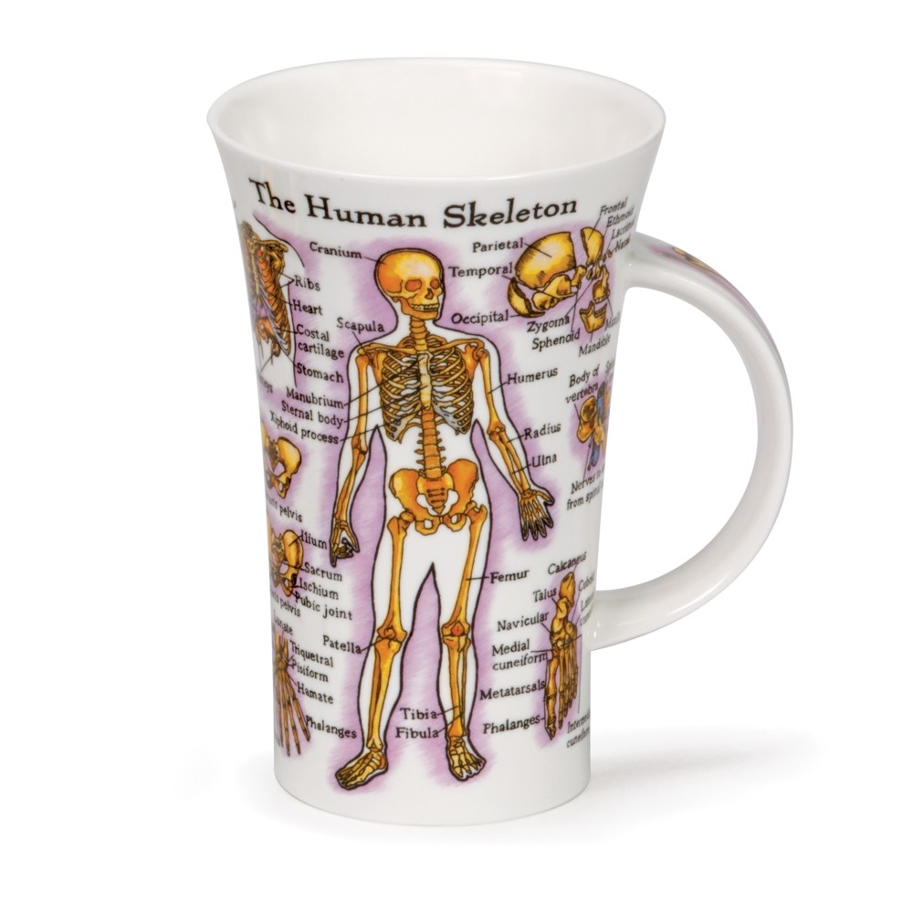 [DN-GLE-HB] MUG GLENCOE HUMAN BODY