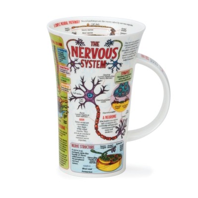 [GL-NRV-XX] MUG GLENCOE THE NERVOUS SYSTEM