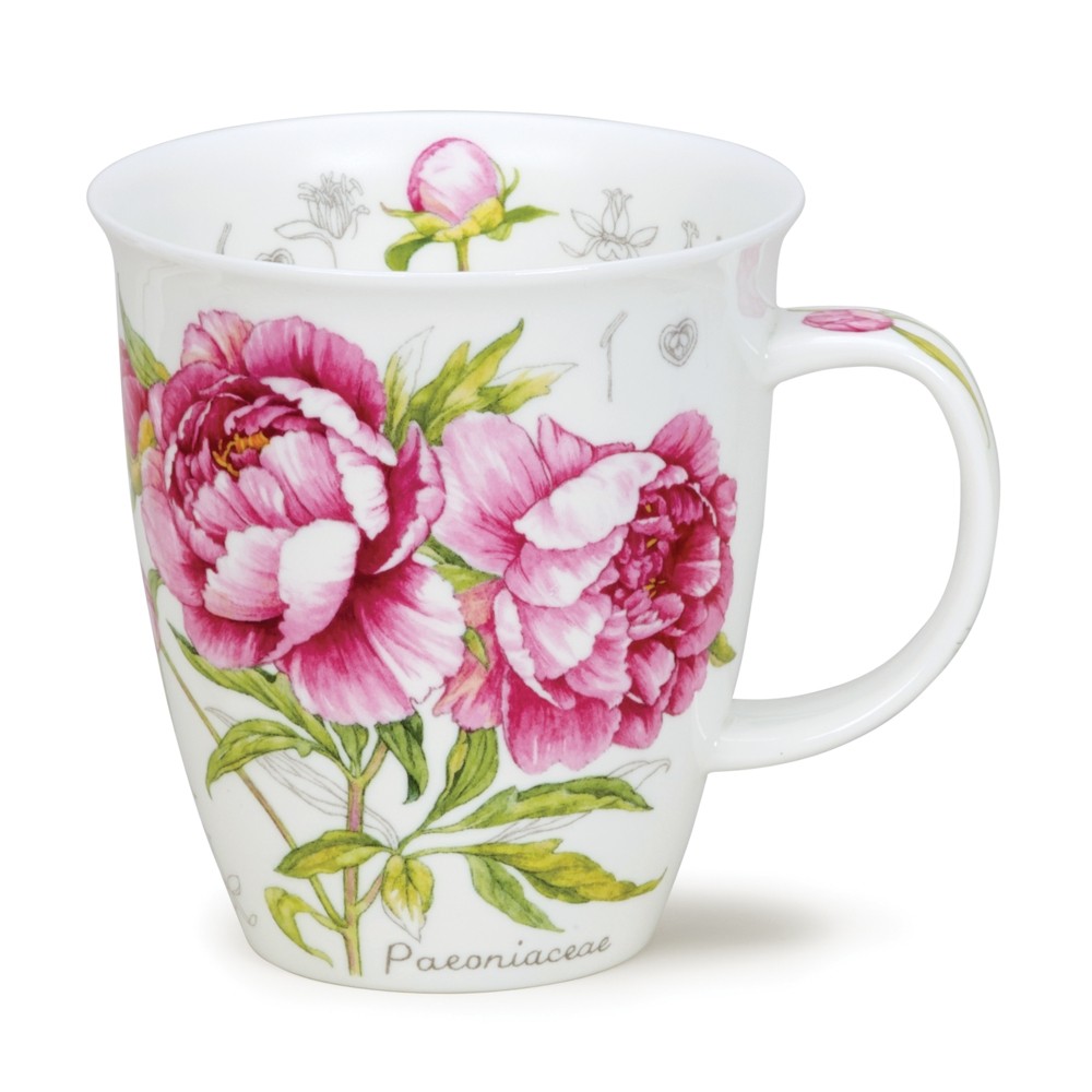 [DN-NEV-BTS2] MUG NEVIS BOTANICAL SKETCH - PIVOINE