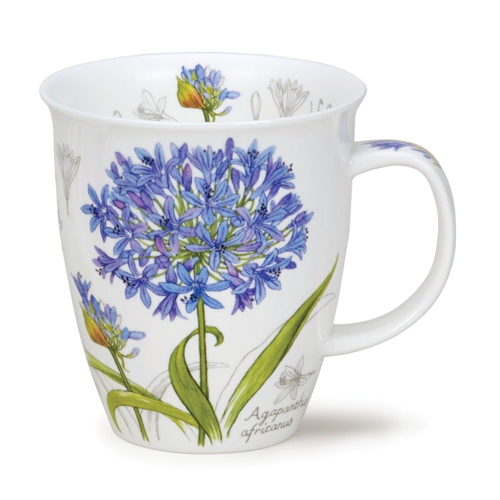 [DN-NEV-BTS3] MUG NEVIS BOTANICAL SKETCH - AGAPANTHUS