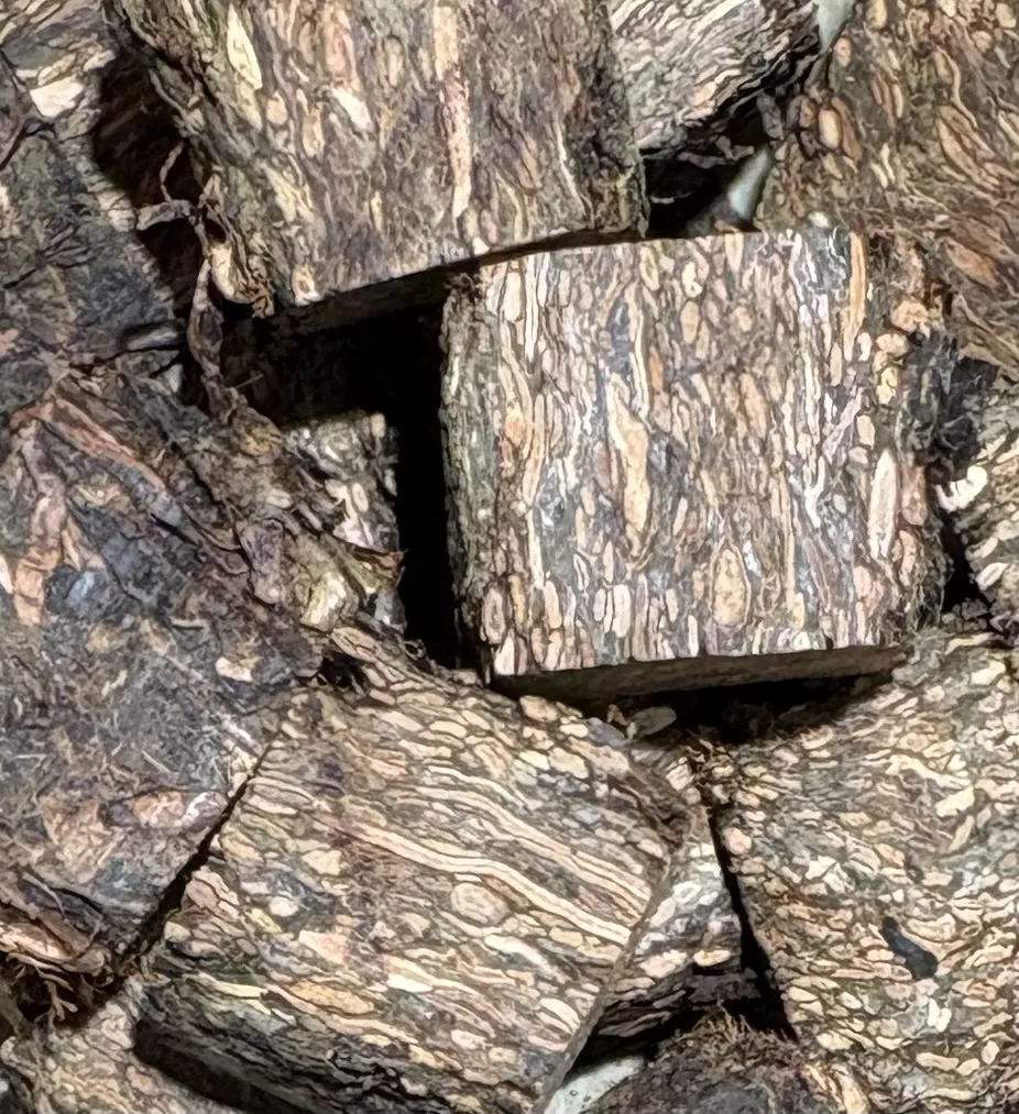 CUBE DE BRIQUE VERTE 2021