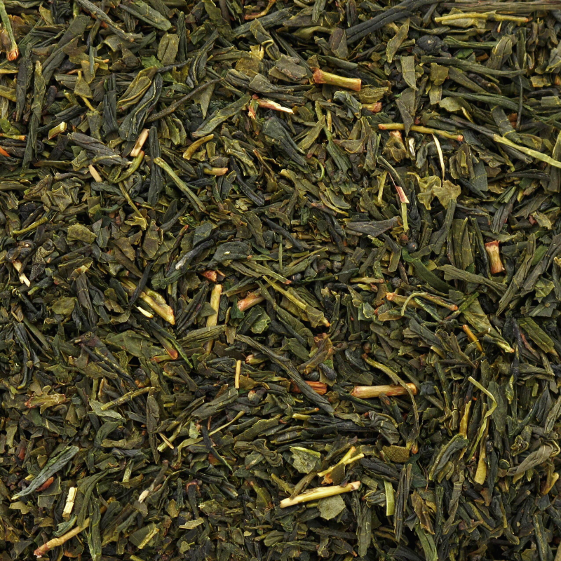 [108] KABUSE BANCHA bio