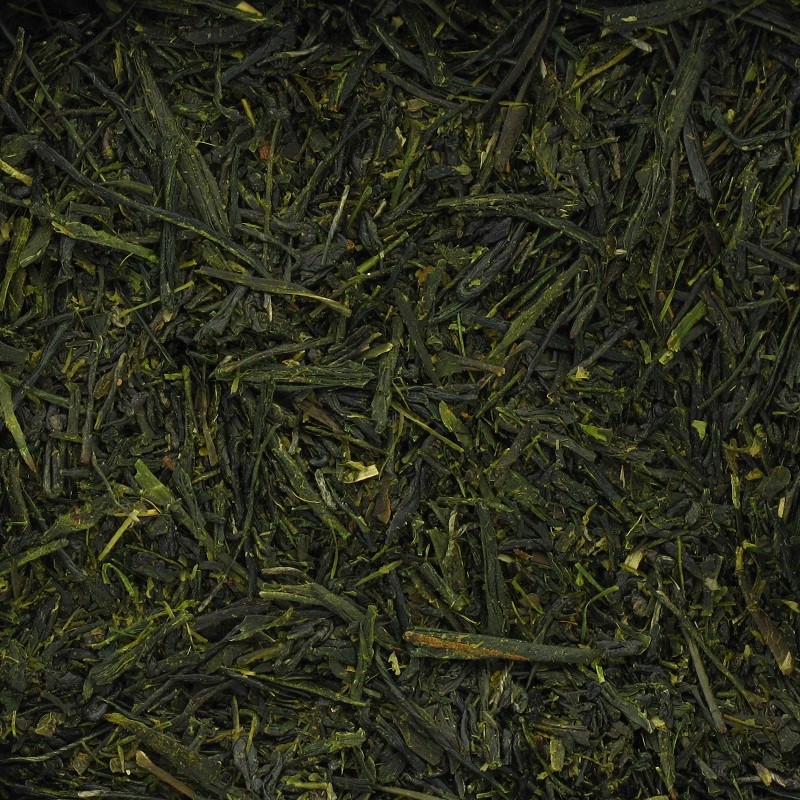 [126] SENCHA FUJI
