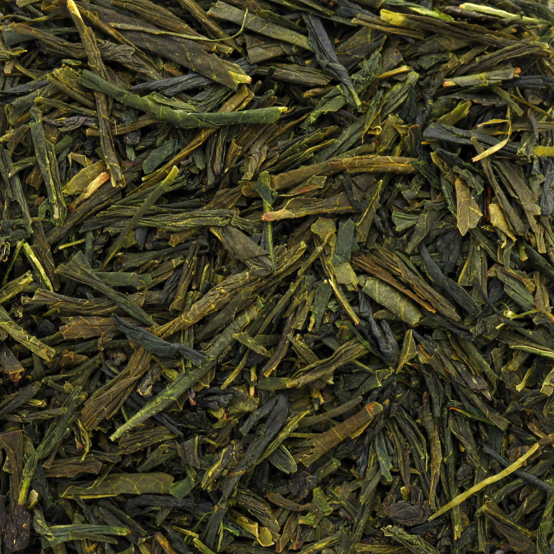 [181] SENCHA OKUMIDORI bio