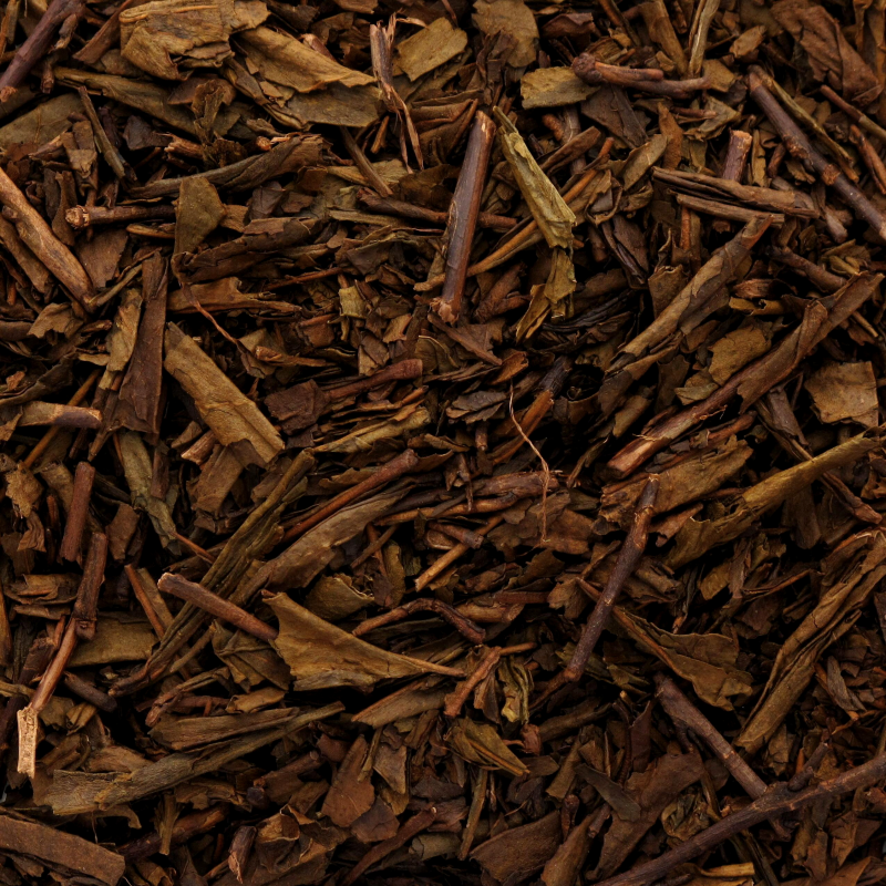 [183] HOJICHA LEGER bio