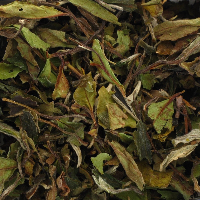 [202] BAI MU DAN FF2026