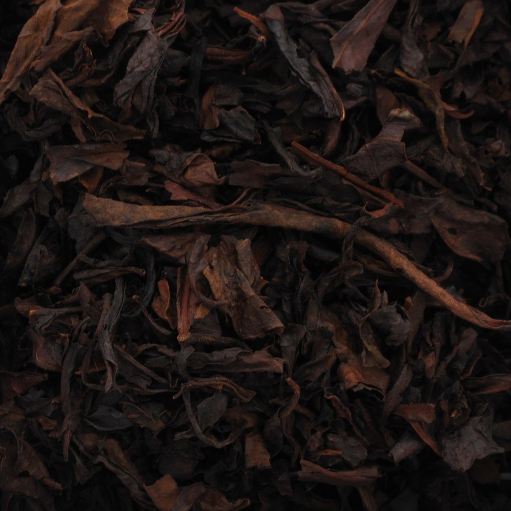 [234] WUYI bio