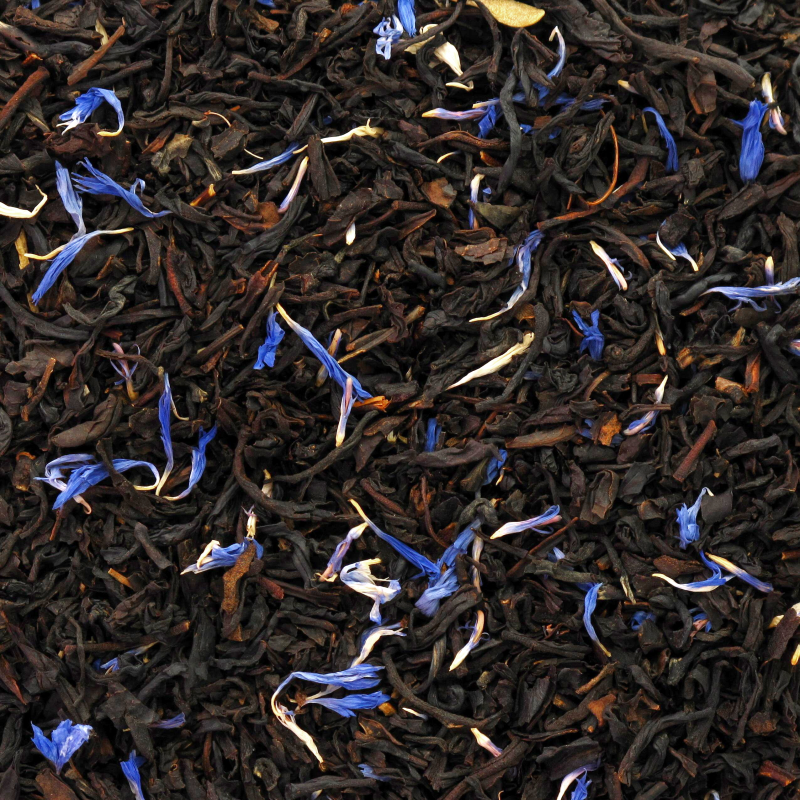 [314] MONTAGNE BLEUE