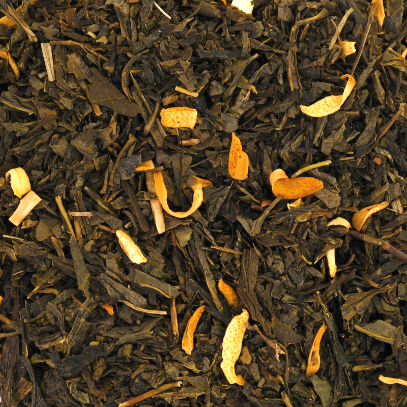 [422] SENCHA CACTUS