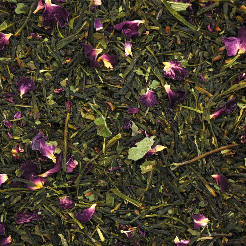 [473] SENCHA ROSA bio