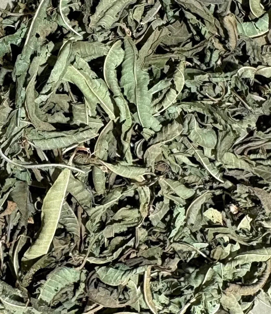 VERVEINE CITRONNEE SATEMWA