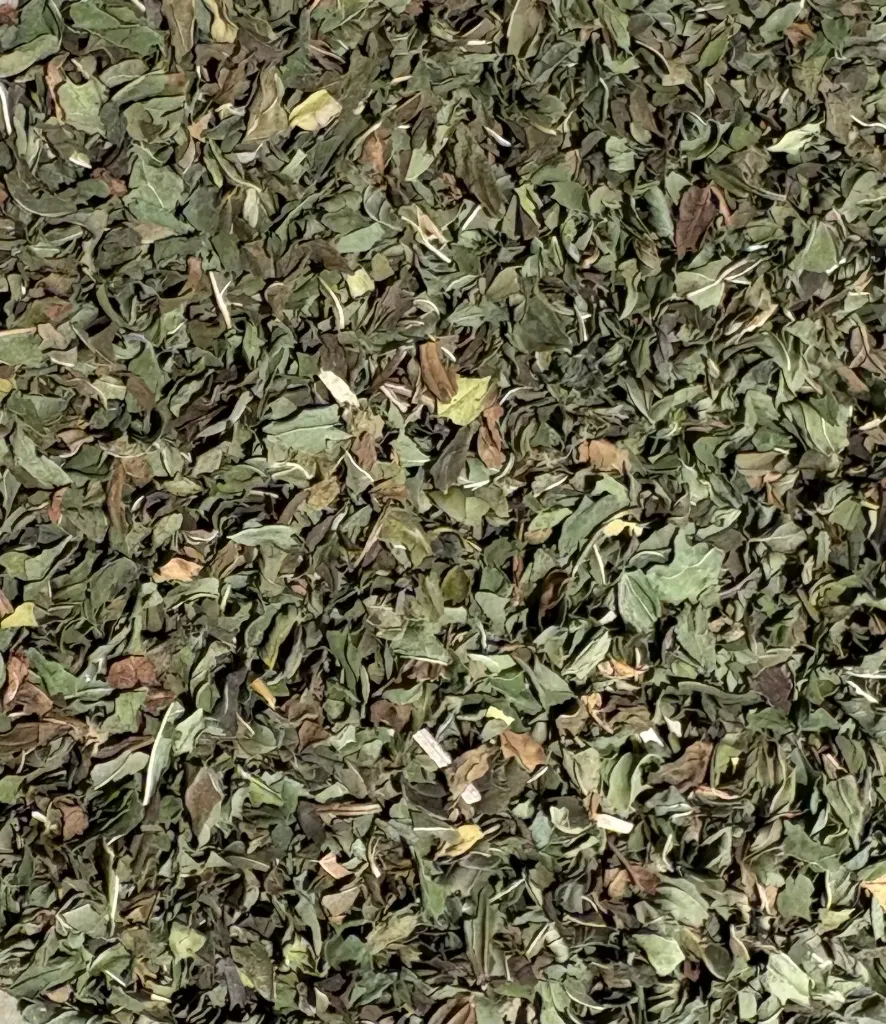 MENTHE POIVRÉE