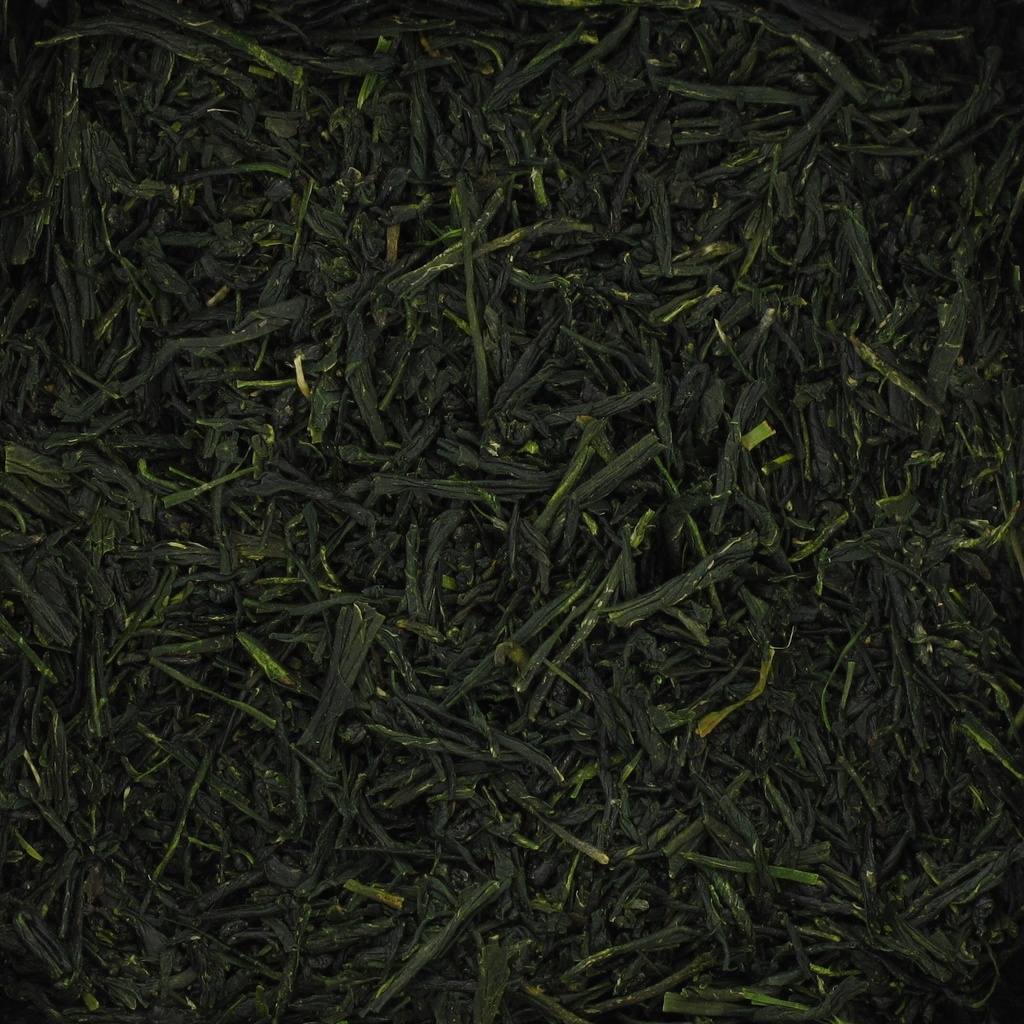 GYOKURO NOMOTO bio