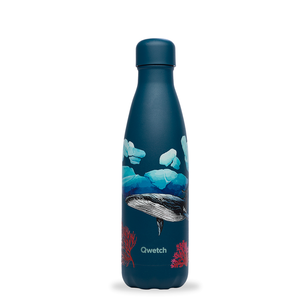 BOUTEILLE ISO MOTIFS  500 ML